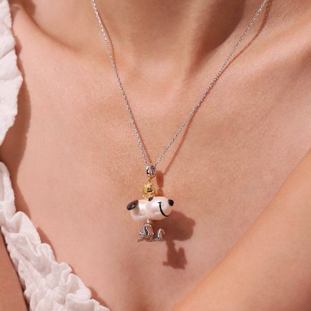 Collier Chien Grandes Oreilles
