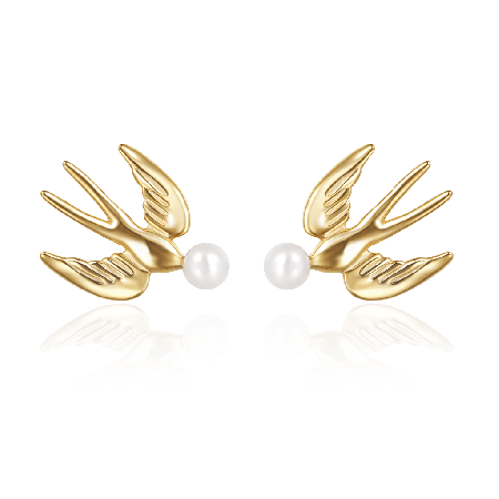 Boucles d'Oreilles Oiseaux Volants