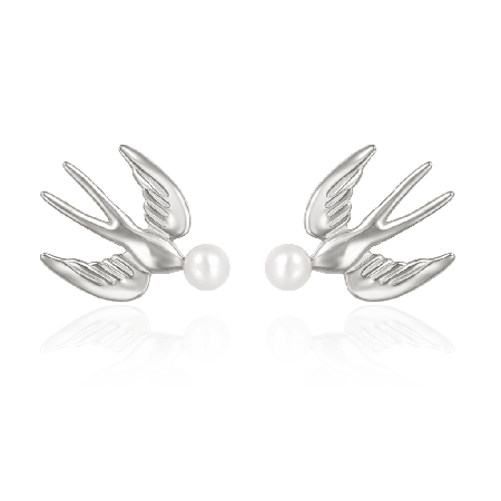 Boucles D'Oreilles Oiseaux