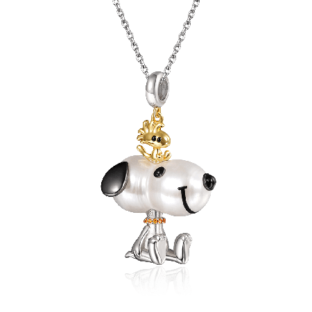 Collier Chien Grandes Oreilles