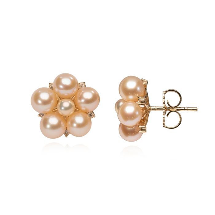 Clous d'Oreilles Grappe de Fleurs