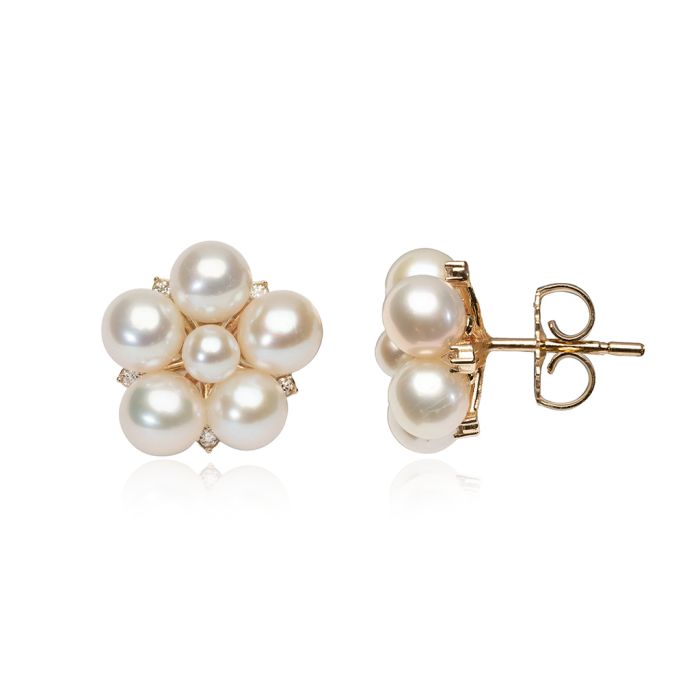 Clous d'Oreilles Grappe de Fleurs